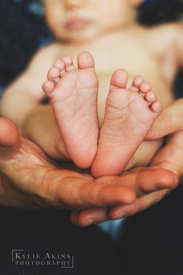 IMG_2112 Edit Color (web)