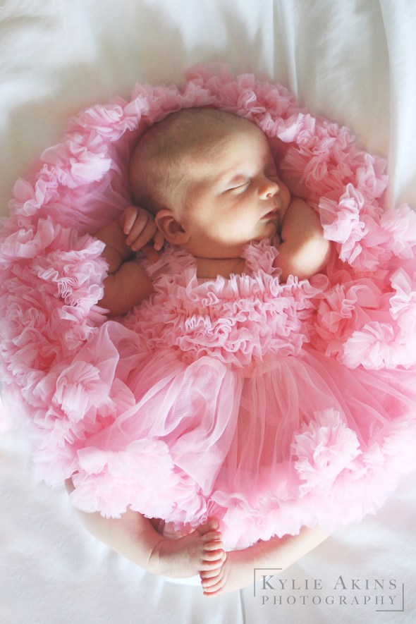 IMG_2881 copy (edit)